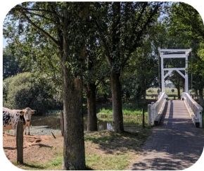 wandelen