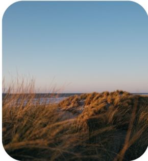 Bergen aan Zee