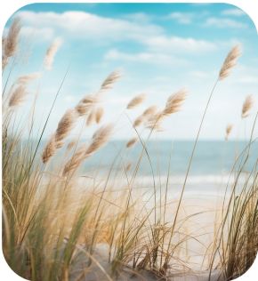 Duin en strand Katwijk-Wassenaar