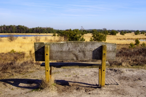 De Herbertusbossen tussen Klooster en Kasteel