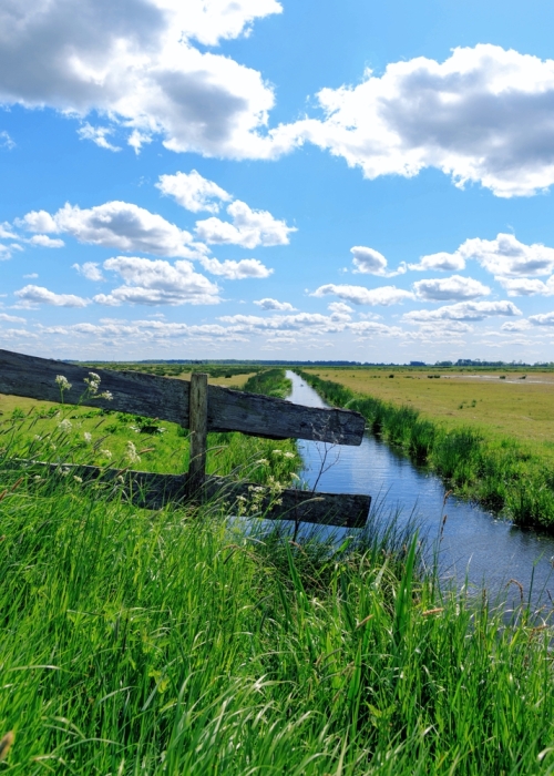 Happen in het Groene Hart