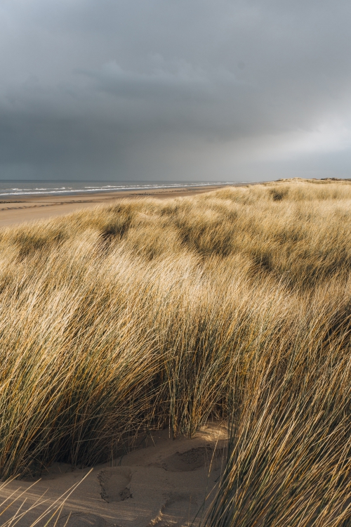 Dwars door de duinen 