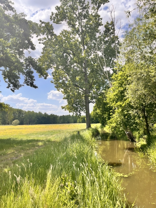 Noord-Dijleland: Rondje Broeken & Ronsdonk