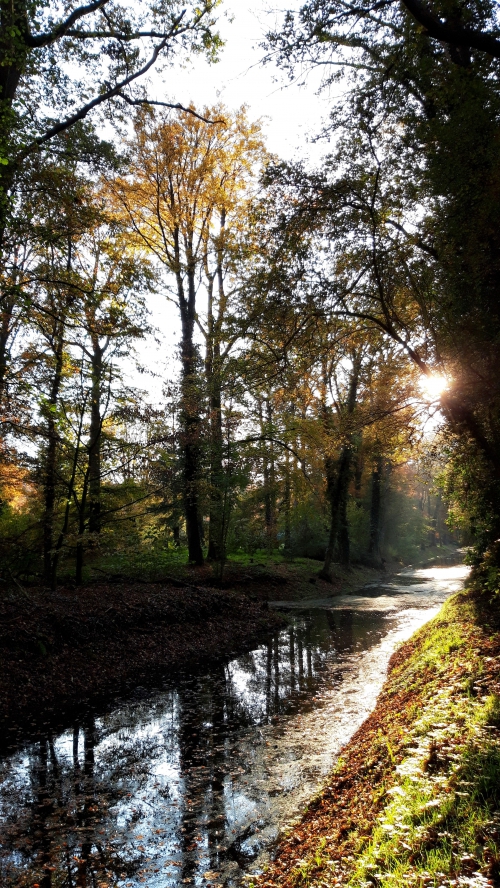 Wandelen en genieten rondom het Berkeldal