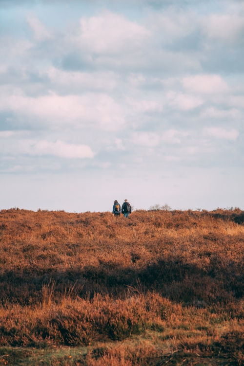 Bijzondere belevenissen in Nationaal Park 'Maasduinen'