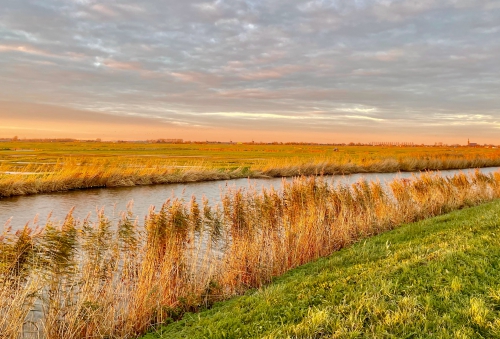 Stappen door het Gemeijnt van Leek en Broek