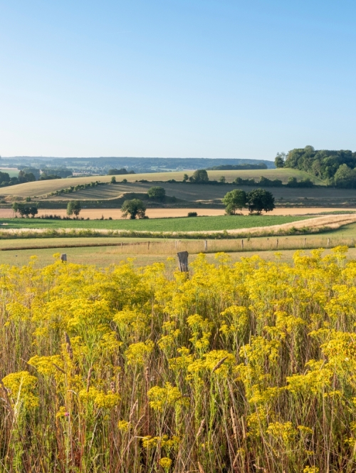 Genieten langs de grensstreek: Limburgs Sjoenste!