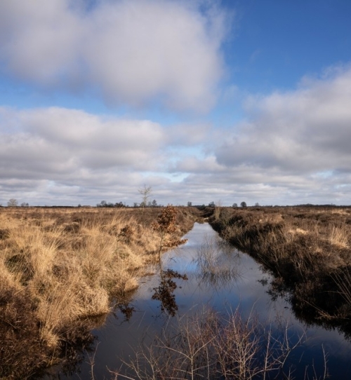 De Drentsche Aa en het Balloërveld 