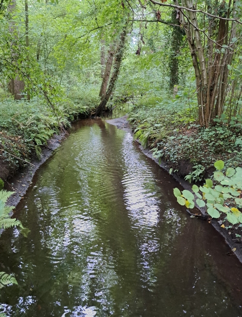 Ontdek de Alphense en Chaamse Bossen