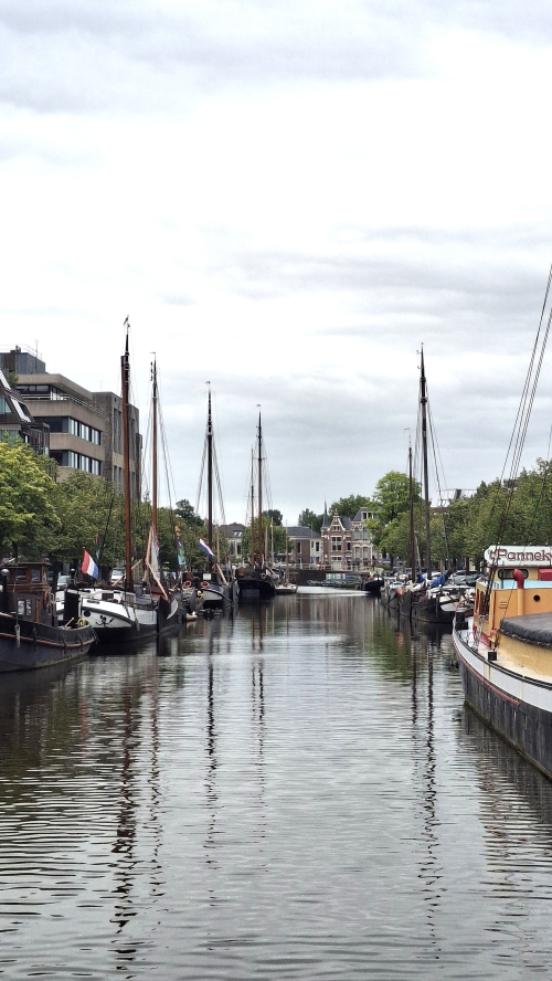 Lopend genieten in levendig Leeuwarden