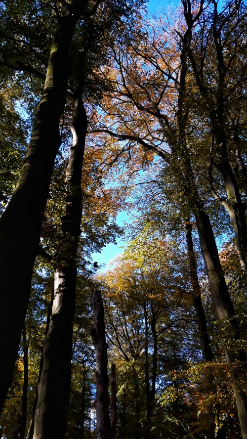Zalig genieten in rustiek Reusel