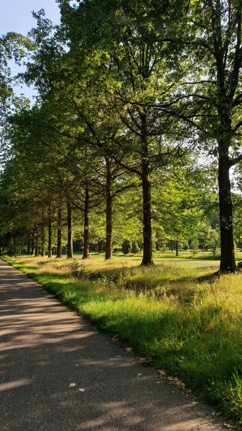 Op avontuur door het Gulpdal