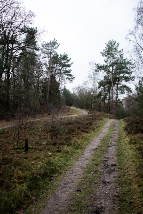 Dwalen door Doorwerth en Wolfheze