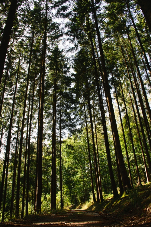 Genieten van de natuur en gastvrijheid in Lanaken 