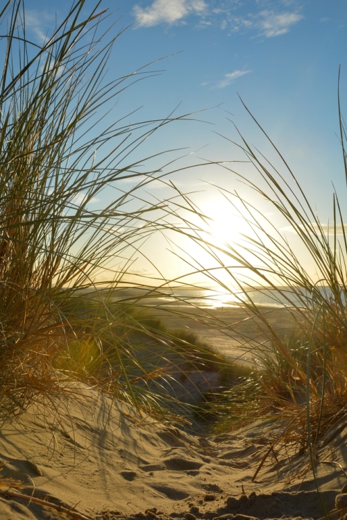 Tussen zee en land in Schouwen-Duiveland