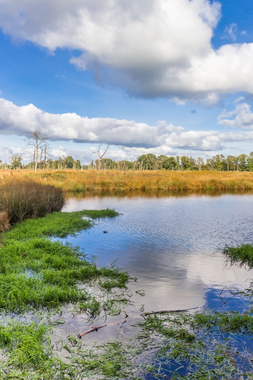 Avontuur in Appelbergen en het Noordlaarderbos