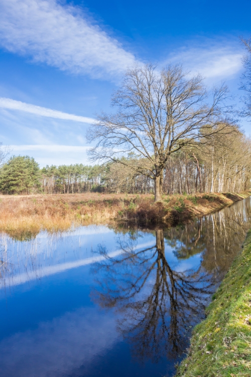 Het Drents Friese Wold