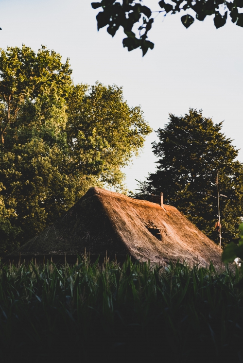 Marcheren door magnifiek Drenthe