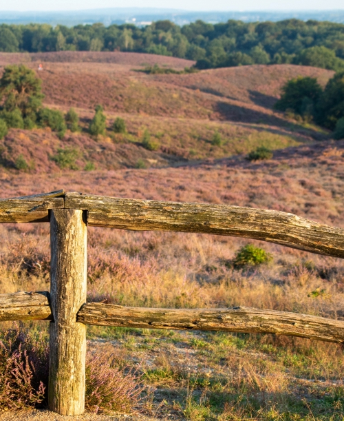 De schilderachtige Veluwe